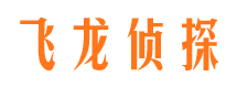 石林侦探